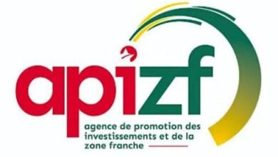 Découvrez comment l'API-ZF hérite de nouvelles compétences pour attirer les investisseurs au Togo grâce à des réformes stratégiques.
