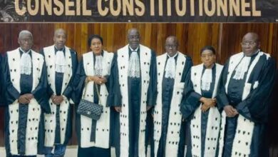 Le Gouvernement saisit le Conseil constitutionnel sur le régime des crédits spéciaux face à l'Assemblée nationale.
