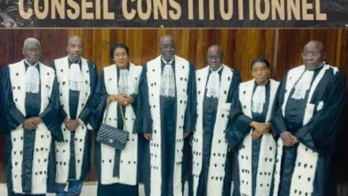 Le Gouvernement saisit le Conseil constitutionnel sur le régime des crédits spéciaux face à l'Assemblée nationale.
