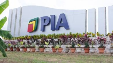 La PIA au Togo atteint 22 industries installées et stimule la croissance économique nationale avec une attractivité accrue.