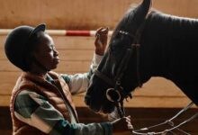 Le Grand Prix d’Afrique 2026 voit deux cavaliers togolais viser le Maroc le 12 septembre. Découvrez leurs ambitions.