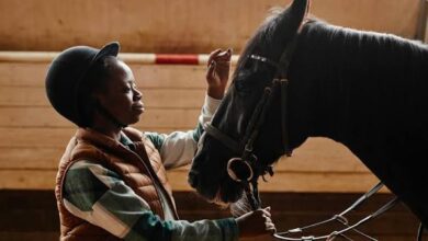 Le Grand Prix d’Afrique 2026 voit deux cavaliers togolais viser le Maroc le 12 septembre. Découvrez leurs ambitions.