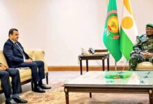 Le Niger et l'Algérie travaillent ensemble sur le Gazoduc Transsaharien. Apprenez-en plus sur leurs grands projets énergétiques.