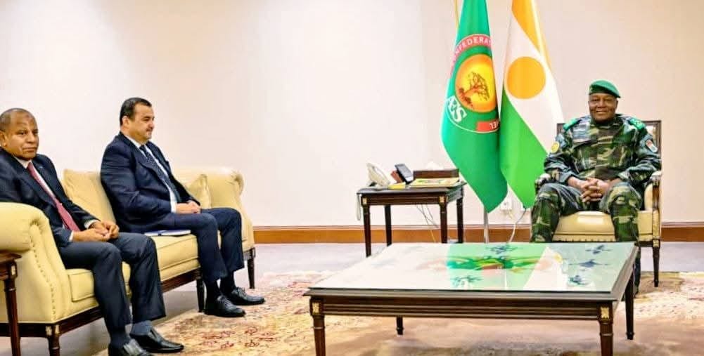 Le Niger et l'Algérie travaillent ensemble sur le Gazoduc Transsaharien. Apprenez-en plus sur leurs grands projets énergétiques.