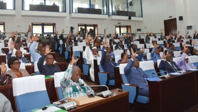 Découvrez comment IOMed peut renforcer le rôle diplomatique du Togo grâce à la médiation en matière de conflits.