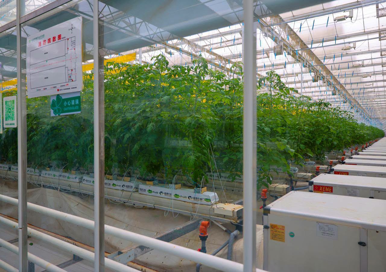 Faure Gnassingbé en Chine explore les bienfaits de l'agriculture intelligente et ce que le Togo peut apprendre du Shaanxi.