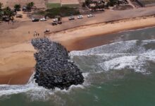 Le Togo reçoit 26 nouveaux épis pour protéger son littoral et lutter contre l'érosion côtière dans la région de Gbodjomé.